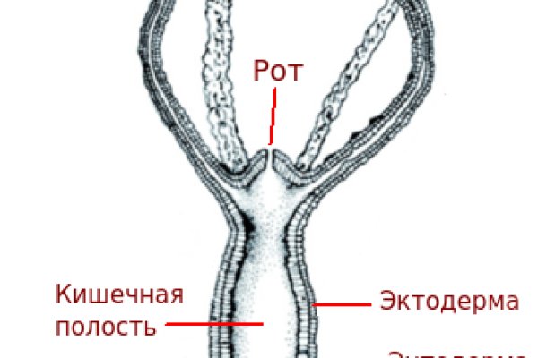 Кракен шоп даркнет